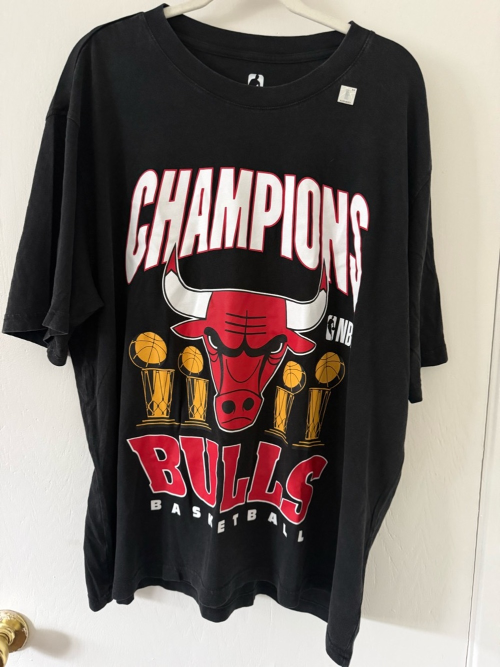 Chicago Bulls Champions Graphic Tee - Black Red Gold